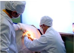 ����������ô���ƣ�