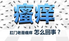 �������������ԭ������Щ��