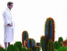 ����������ʲôҩ ����������ҩ